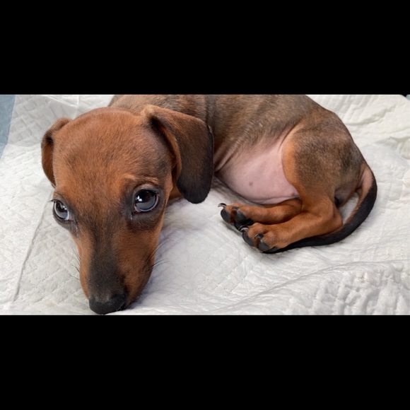 THANK YOU ❤️ - Picture 5 of 14